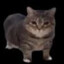 HOMUNCULUS PRIME's avatar