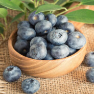 ✪蓝莓