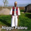 Niggu Paleru