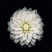 M.A