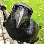 RS |で VorOnA Prostoj で