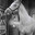 A Most Remarkable Horse