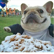 КРЭПКЫЙ ОРЭШЭК