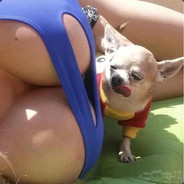 打个鸡没有问题