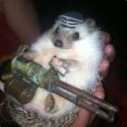 hedgehog with a minigun