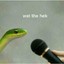 Snek