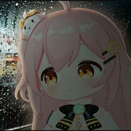 关注塔菲
