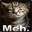 Teh mμe Steam avatar