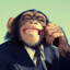 Business Monke