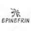 EPİNEFRİN