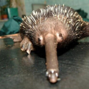 трансформатор