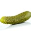 PickleMaz_