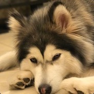 你大爷永远是你大爷