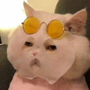 孤独风中一匹狼