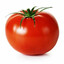 помидор