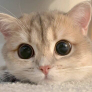 等登登等登登等