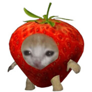 гавнаешка