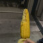 corn20