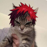 Server Avatar