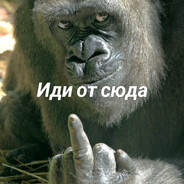 Пьер Дун