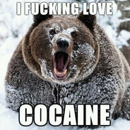 Darkbear - steam id 76561197969220692