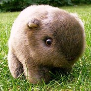 RoguishWombat