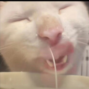 Kkwazzawazzakkwaquikkwalaquaza?