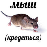 Мышел_вышел :)