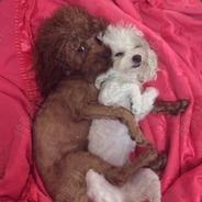 AAAAAAAAAAAAAAAAAAAAAAAAAAAAAAAA