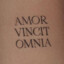 amor vincit omnia