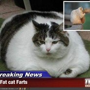 Fatcatfarts