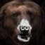 URSO DA COCA