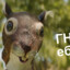 гнида ебучаяя