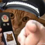 刀战哪有老六好van♂