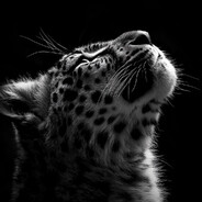 ]DANO[ - steam id 76561198790845356