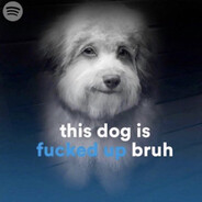 ENG!E - steam id 76561198204946932