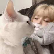 帅气无敌的仙女