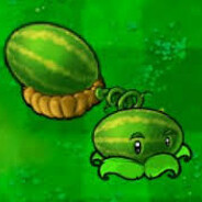 Winner Avatar