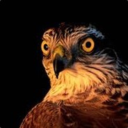 Arkotil