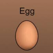 egg