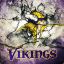 VikingAvengerMN