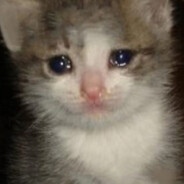HappyCryingCat