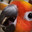 loud bird noises