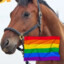 Horse LGBT +