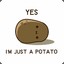 Potatototp