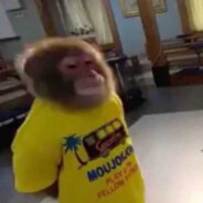 MoNkeY_SlaYeR