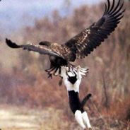 WAS KILLED BY TEAMMATE - steam id 76561197961366240