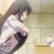 有大电的哨兵才丝滑