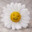 romazka_02