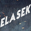 Elasek